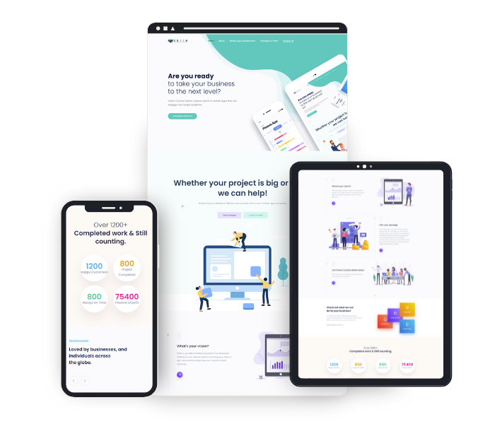 IT Comany Website Design by Digital Owlers